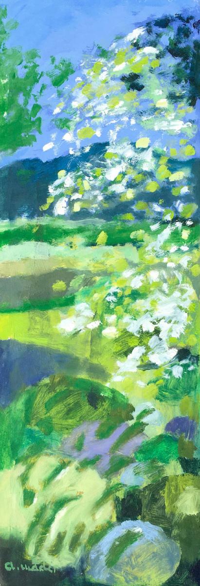 Paysage 9